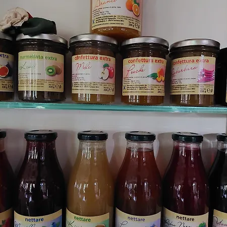 Фермерский дом Vignarello