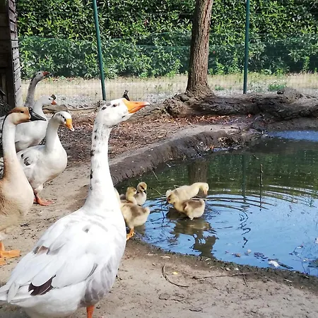 Vignarello Farmház *