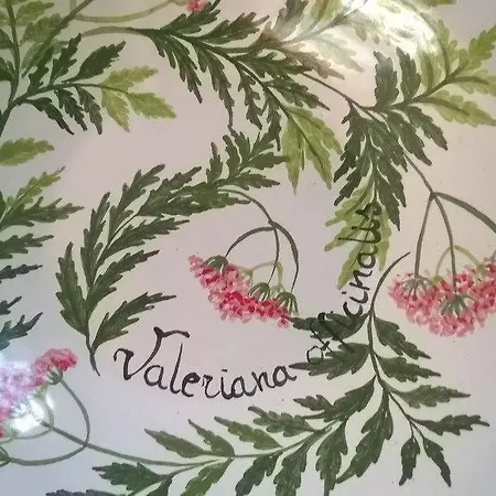 Vignarello * Tornaco