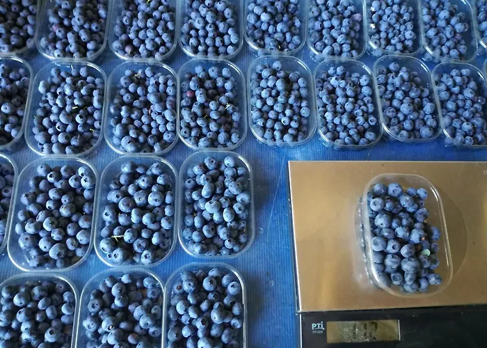 Vakantieboerderij Vignarello