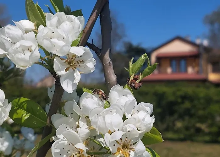 Vignarello Tornaco