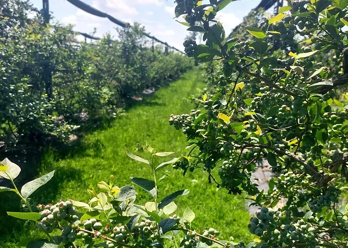 Vakantieboerderij Vignarello