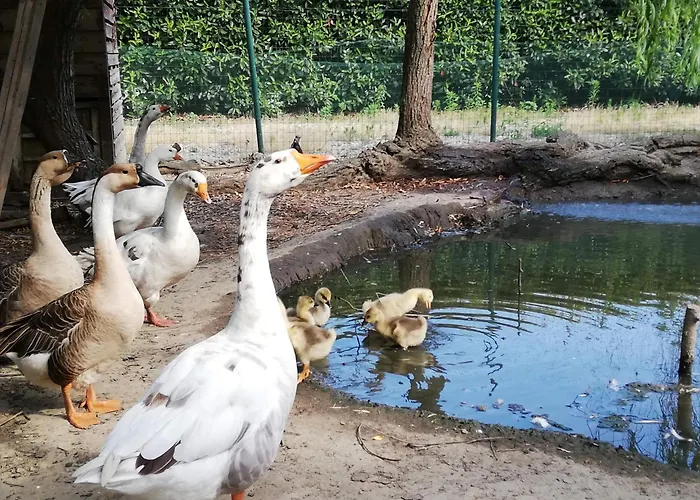 Vignarello Vakantieboerderij *