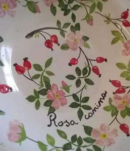 Vignarello