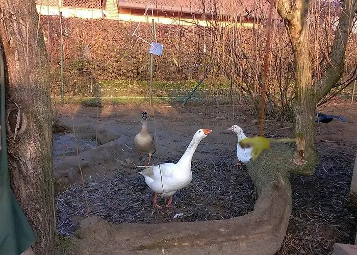 Vakantieboerderij Vignarello