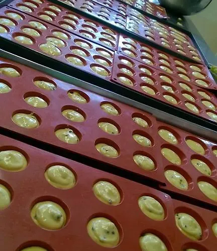 Vignarello
